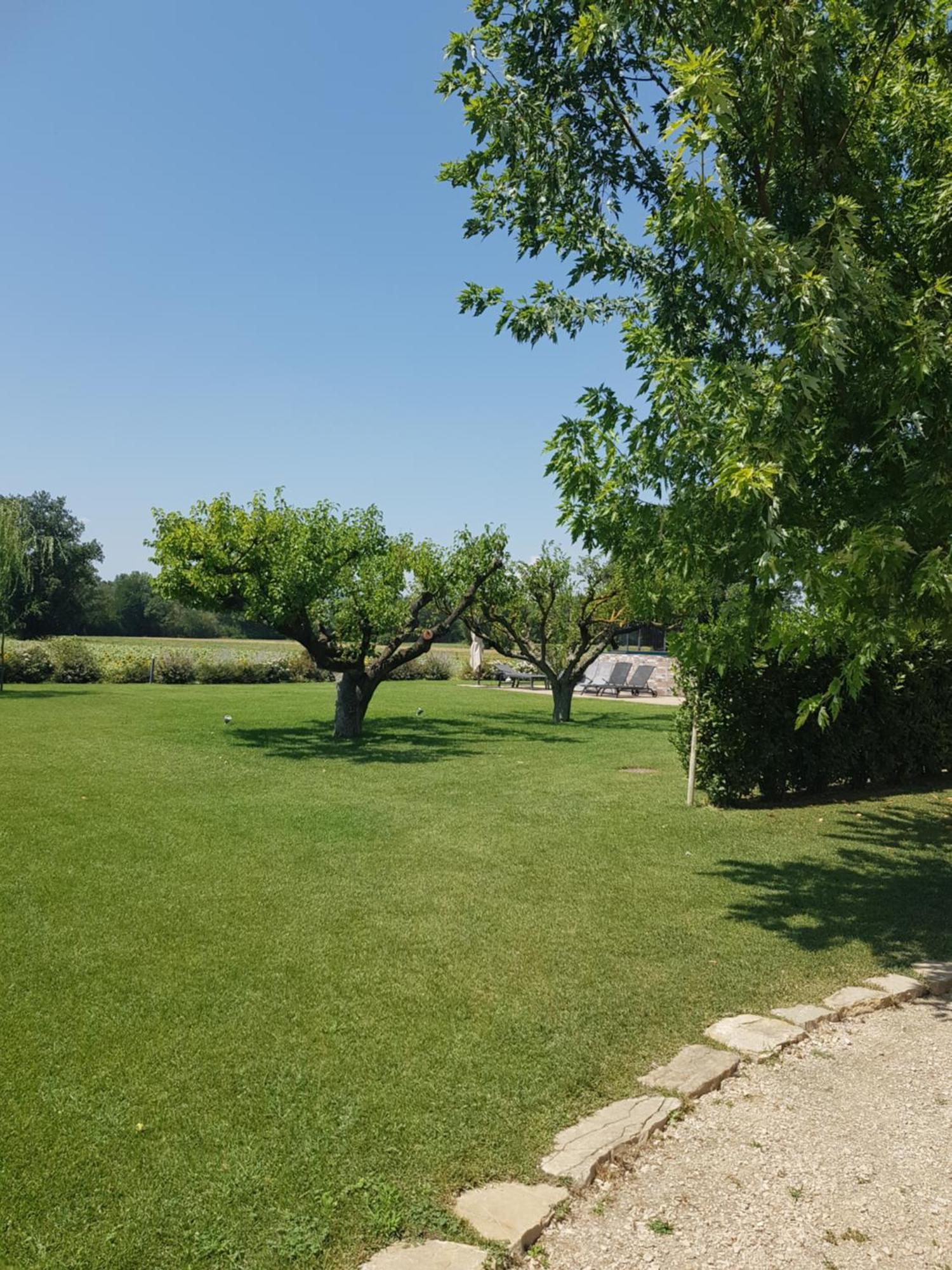 Agriturismo Villa Al Piano Todi Exterior photo