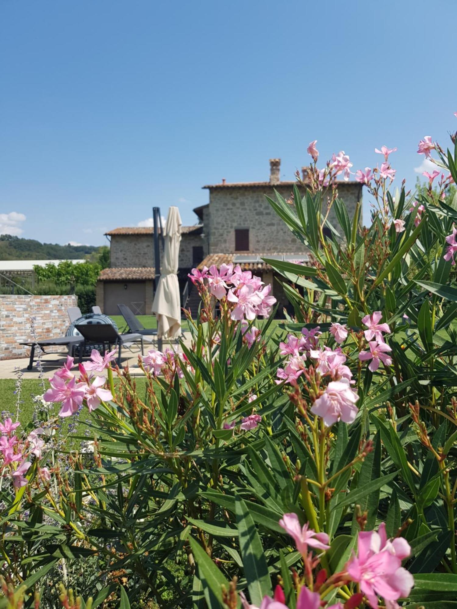 Agriturismo Villa Al Piano Todi Exterior photo